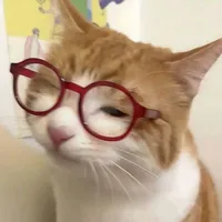 Tác giả, bị khùng