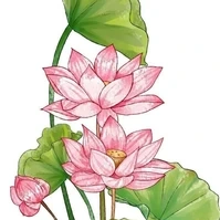 Cân mọi loại vai