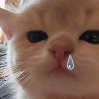 💋