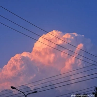 T/g Quỳnh_138
