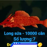 long sứa 