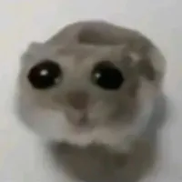 hệ thống(I luv hamster)