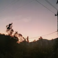 all bot (trừ ai cần trừ)