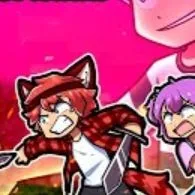 hachi stnn