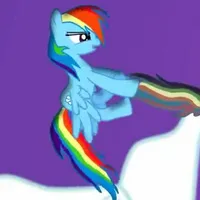 rainbow dash