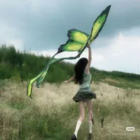 Trần Thị Cẩm Vân