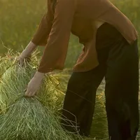 Gia Nhân