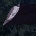 hiha crow