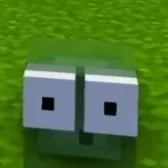 SLIME