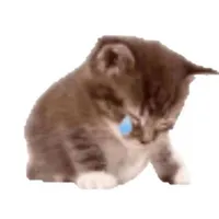 Trí da đen(yêu lam)