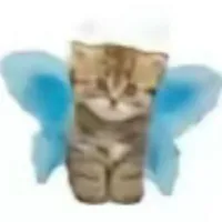 Quý da đen (đàn em của Trí)