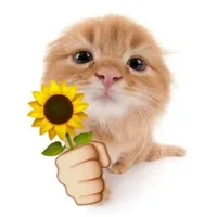 QTrung lớp kế bên(đàn em của Trí)