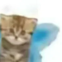 Lam (vừa vừa + tăng)