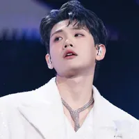 Lê Hồ Phước Thịnh