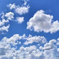 - Nhân vật phụ -