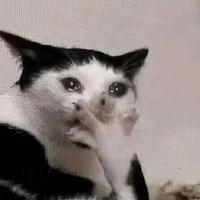 t/g đáng ui cute s1tg