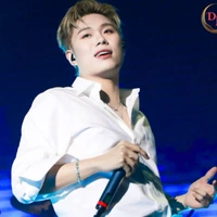 Trần Đăng Dương - Dương Domic