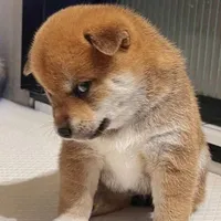 Hệ thống _ Lạc Lạc