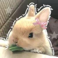 🐰Thỏ_bé🐰