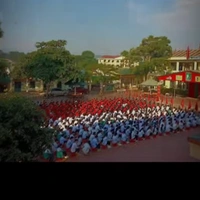 mấy đứa ở đó