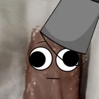 Brud