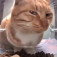 T/G đâyy