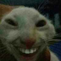 All