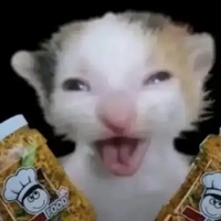 t/g bị down