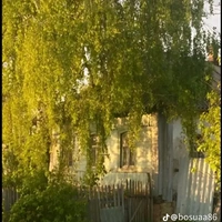 những người nghe được tiếng lòng