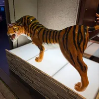 quỉ tgia hay bị đau bụng