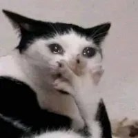 Dri