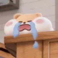 HĐQT Của Chi