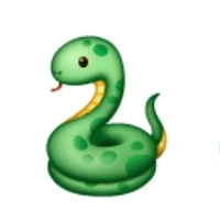 nhóm bạn của cậu