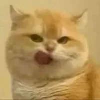 Tác Giả - Trà May Mắn 🍀