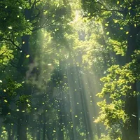 Fan (Đủ thành viên)