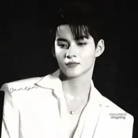 Huỳnh Hoàng Hùng-Gemini