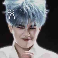 Hoàng Đức Duy ( dạng mèo )