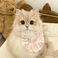nhóm em ( trừ ai thì trừ )
