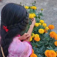 LÊ THIÊN NGÂN ✎