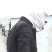 gaster
