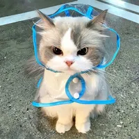 hệ thống ( bd :su )