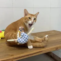 All