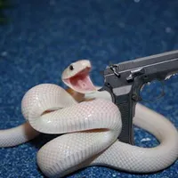 Kai (hệ thống dân chủ 🗿)