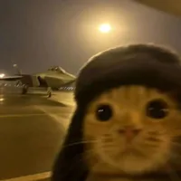 Hello