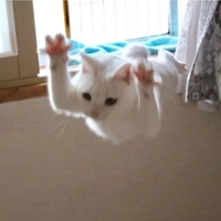 ？？？
