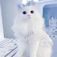 T/g Limina (Dạng Mèo)