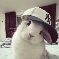 Cooper