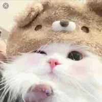 Con gái trong lớp