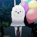 Paca