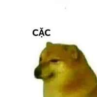 Con Cặc